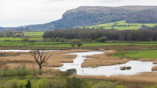 A section of wetland with fields and hills behind it